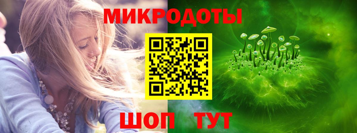 продажа наркотиков  Псилоцибиновые грибы прущие грибы  Абакан  Вход с VPN  Псилоцибиновые грибы мицелий 